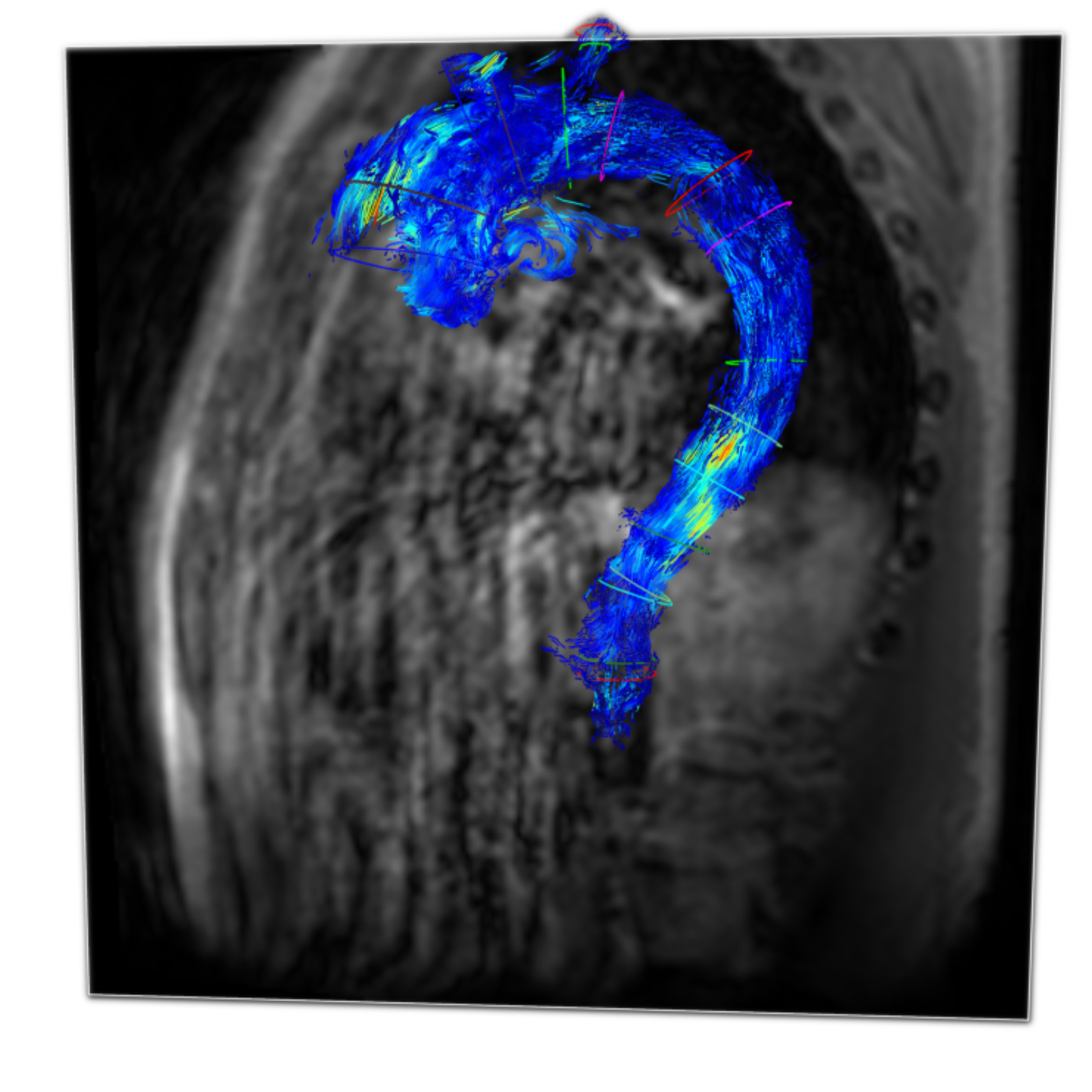 <?php echo pulse_output(); ?>